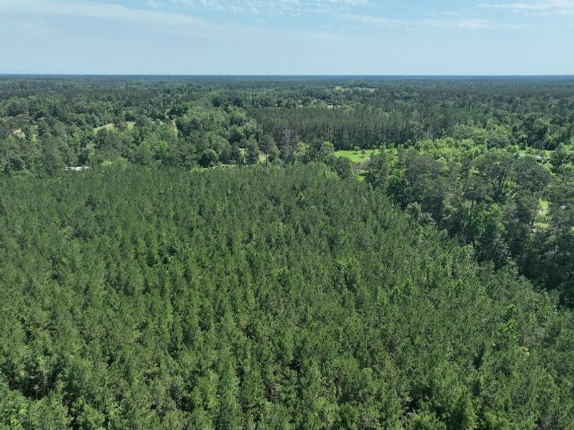 dji_fly_20250522_163620_264_1747959926998_photo