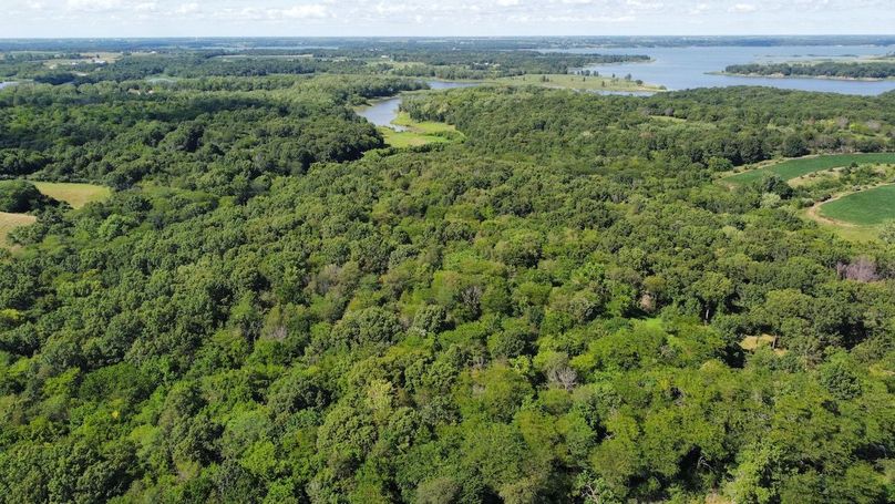 dji_fly_20240801_161100_971_1722546673118_photo_optimized