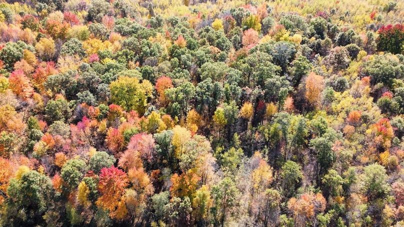 dji_fly_20241010_133542_430_1728585629039_photo_optimized