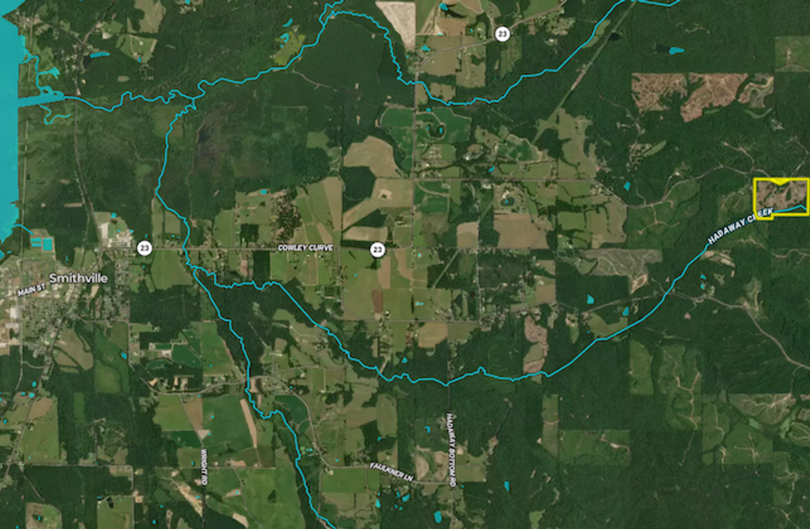 Screenshot 2026-02-19 at 10.17.22 AM