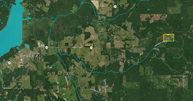 Screenshot 2026-02-19 at 10.17.22 AM