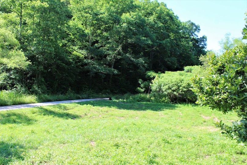 008 field area along the southeast corner of the lot