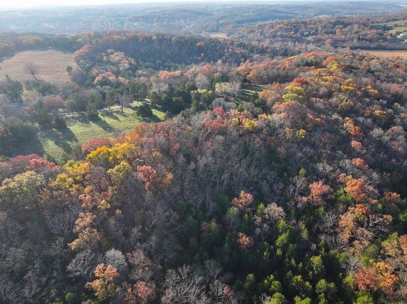 DJI_20251112080837_0875_D