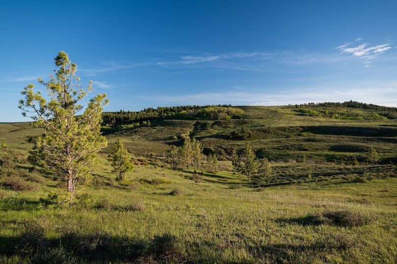 E2C5BAD9-EE13-45E1-BAC0-CEB92AB2A275