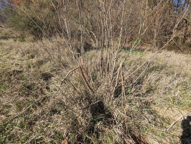 PXL_20231103_154747038