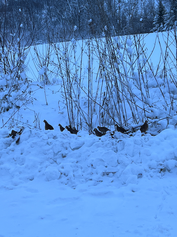 Screenshot 2024-09-04 at 2.32.42 PM