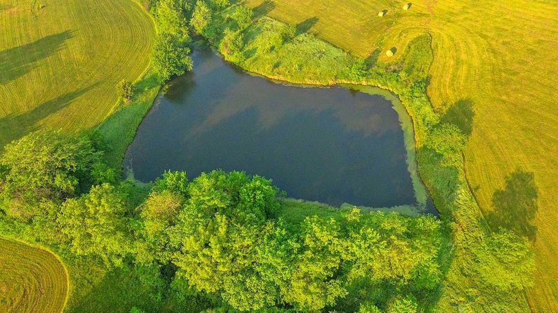 DJI_0482
