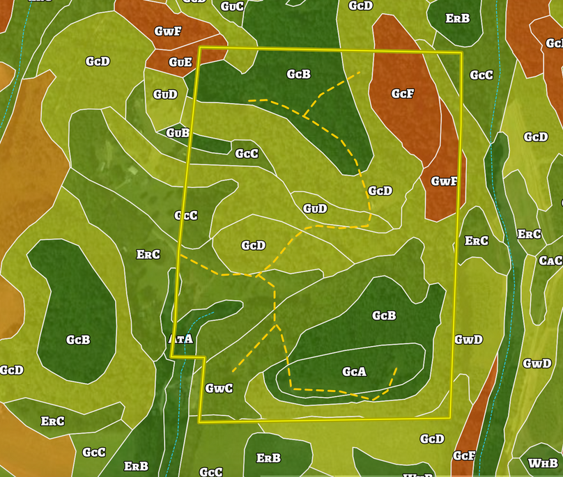 Screen Shot 2023-08-01 at 6.40.03 AM