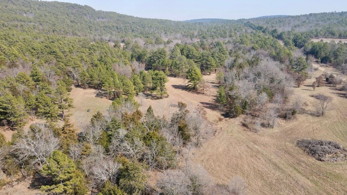 Bobcat Ridge In Southeast Oklahoma Whitetail Properties
