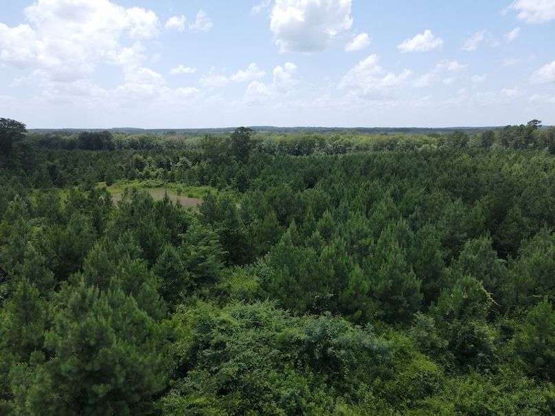 DJI_0356