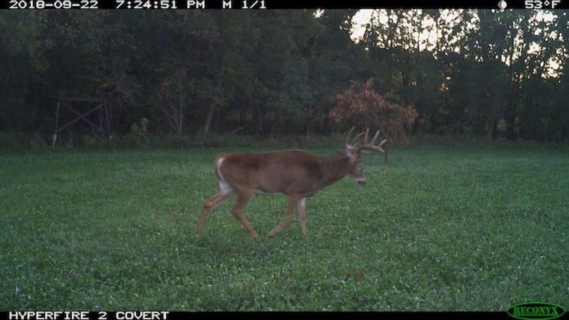 2018-09-22 19-24-51 M 1_1