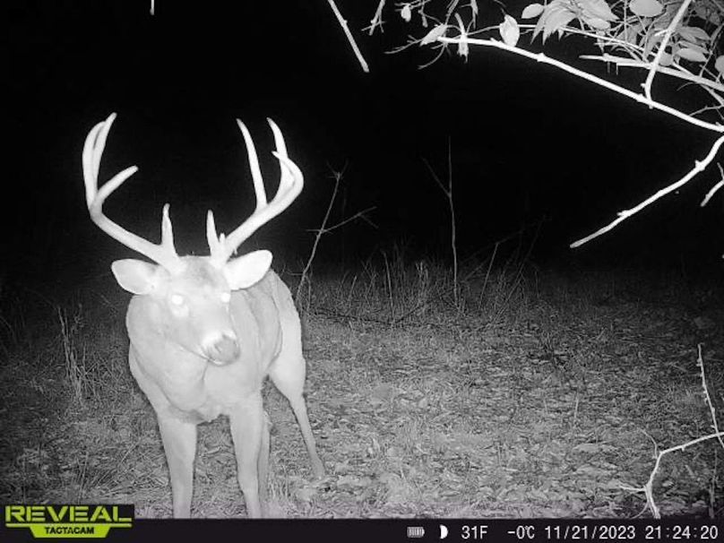 Copy of deer photos.179