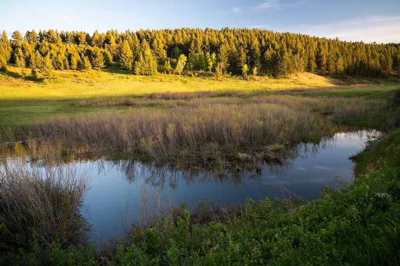 E6CA347F-8EBF-4E4E-ADFC-47AAA321726A