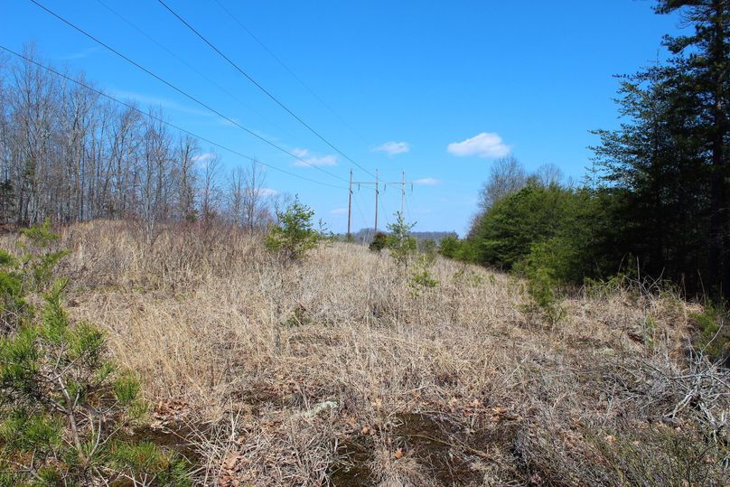 030 powerline ROW near the southern portion of the property