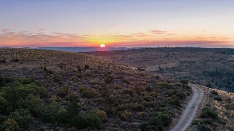 DJI_20250813071739_0373_D