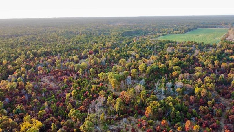 dji_fly_20241011_174942_450_1728687446872_photo_optimized 2