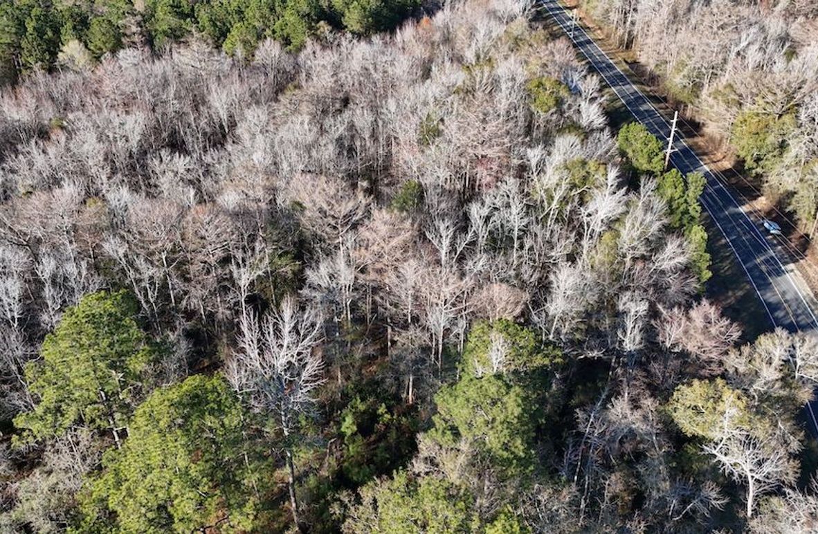 DJI_20251209144809_0005_D