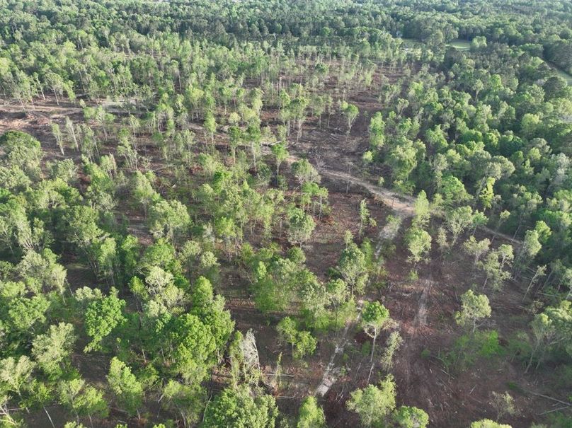 dji_fly_20260407_083536_360_1775580318491_photo