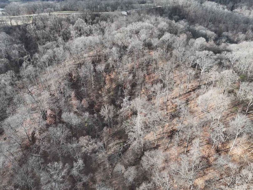 DJI_20251126165103_0334_D