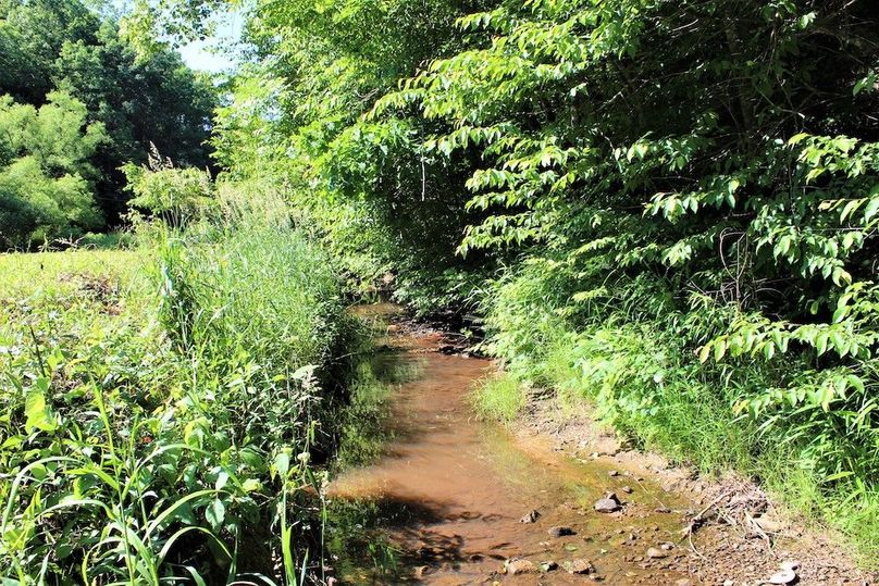 003 the creek along the back boundary on the west side