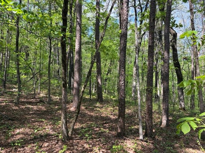 A5F1F861-C7EE-49B6-AC80-8761AD3D2D07_1_105_c