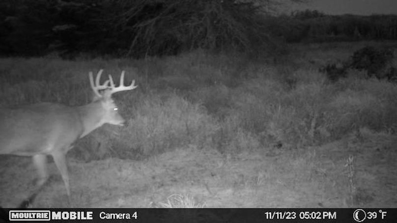 Temp_1082385-20231111230329-20231111170243_002207