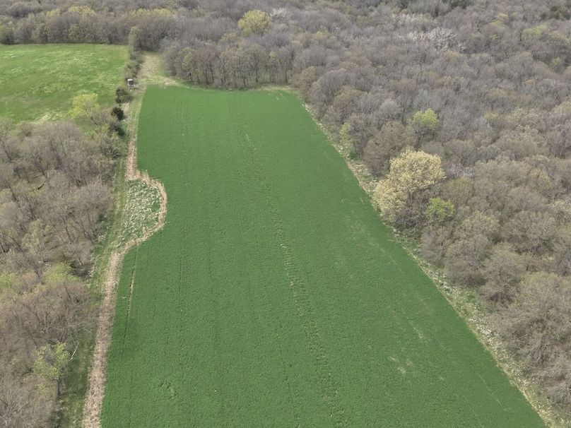 DJI_20250424131655_0015_V