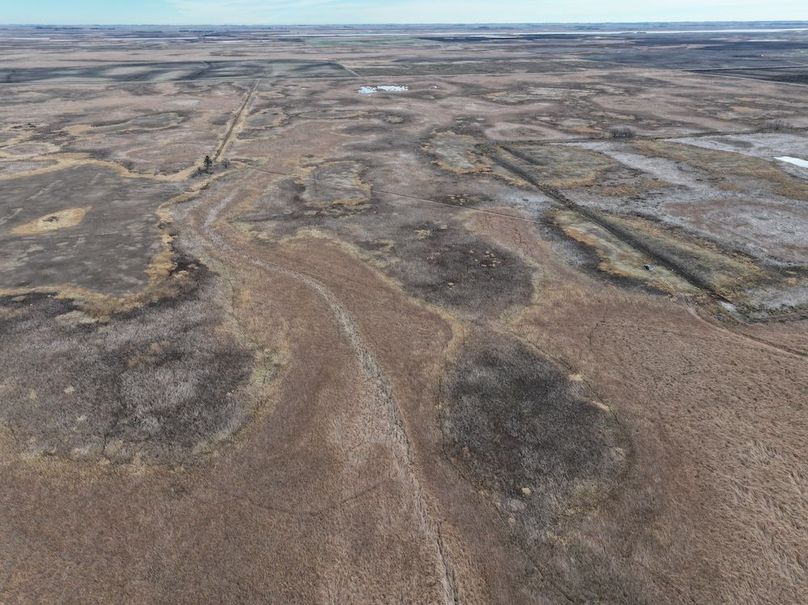 DJI_20241118113204_0323_D