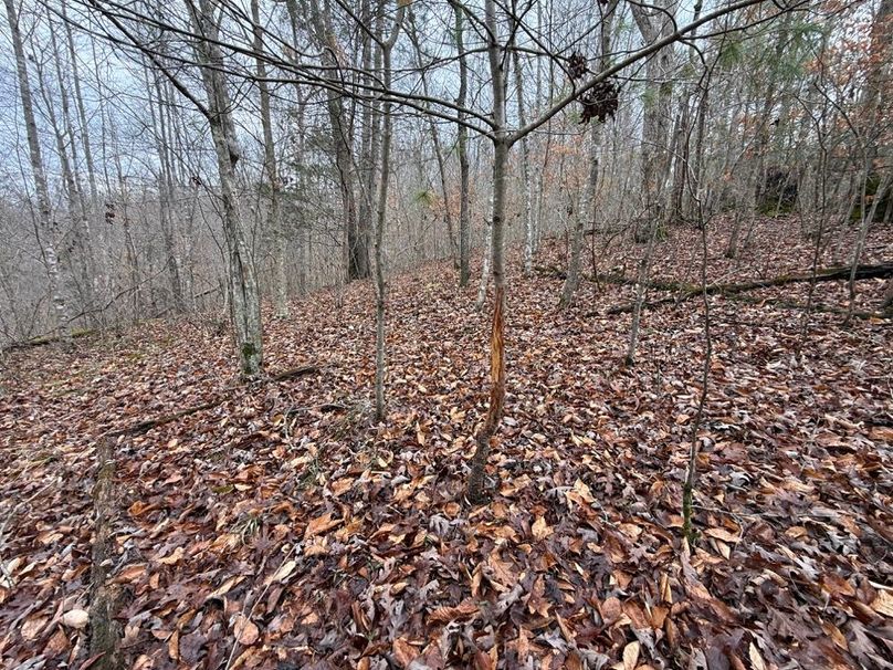 015 seemed to be no shortage of these