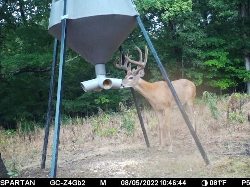 trail cam1