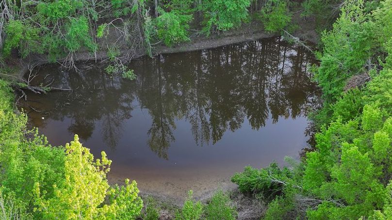 Tallahatchie 44 Newman (Crowden) Wide-3