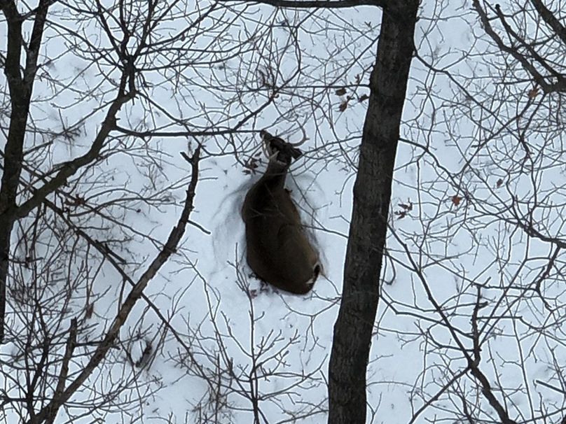 1.Copy of Tract 5-2 Buck Large