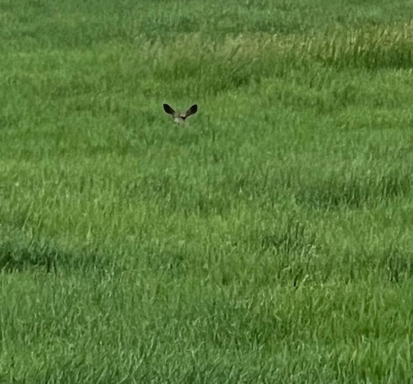 3fd941f6-c5a0-4395-b475-52ca6ca730d8