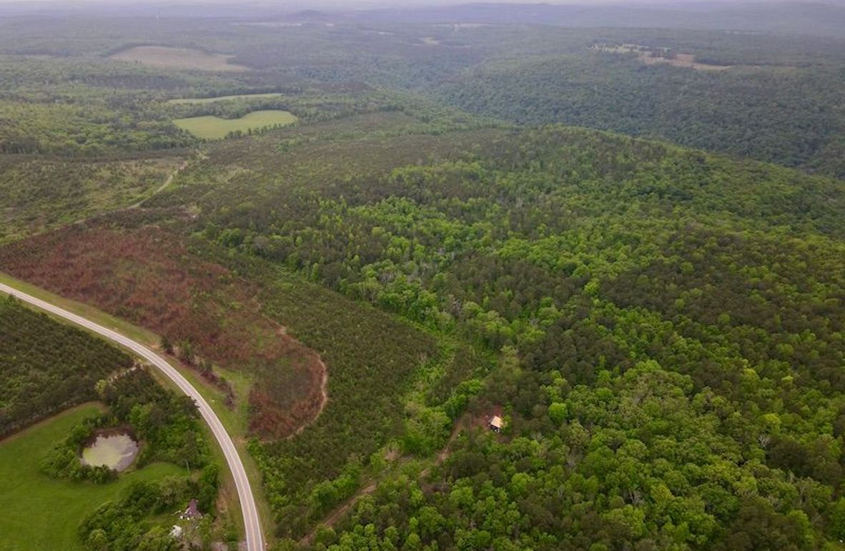dji_fly_20260428_114850_88_1777920080844_photo