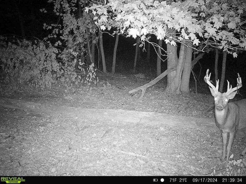 864049057275945-10-4-09182024114700-HD-SYFW8302