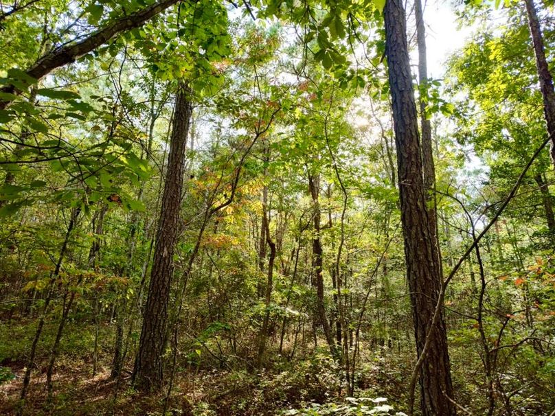 IMG_20250914_165514747_HDR