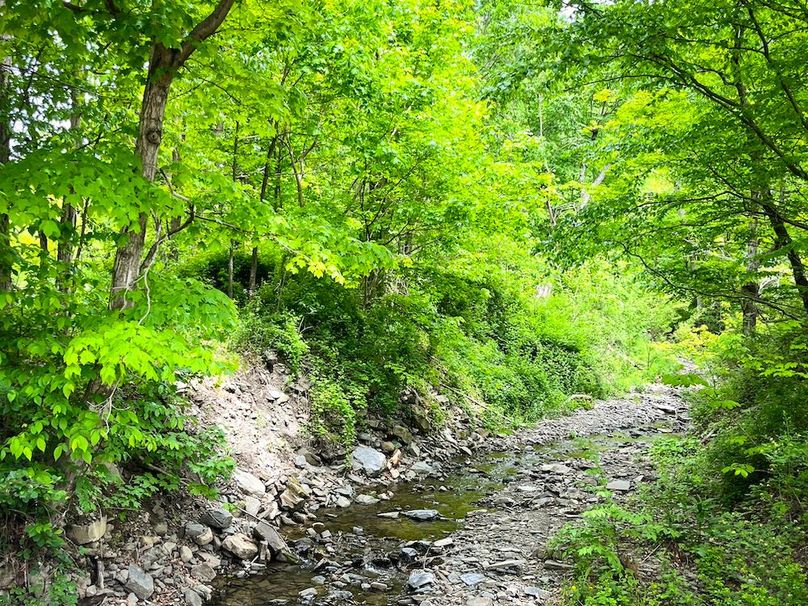 Tioga_31.4_Kemp_Photos_21