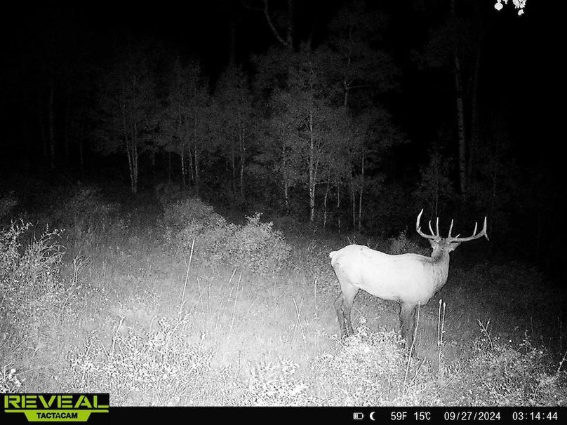 Copy of 864049052055672-30-4-09272024031444-HD-W1001255 (1)