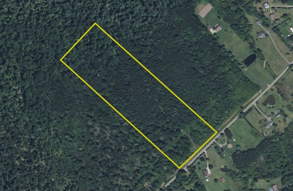 Screen Shot 2025-09-08 at 9.04.47 AM