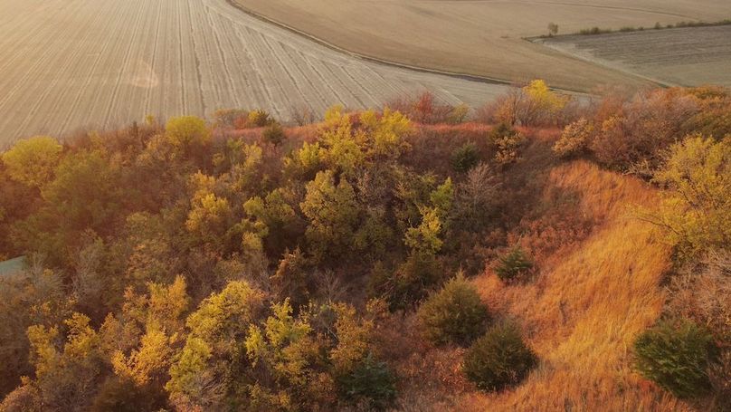 MONONA CO IA 14.95_7