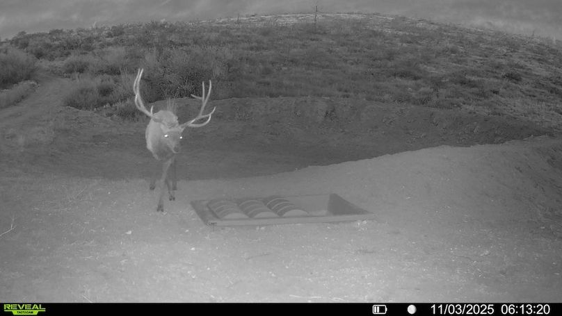 016578004362866-68-3-11032025153541-HD-SYFW00329