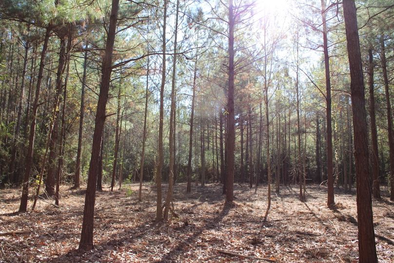 B3035305-1E56-410B-A6E6-782C57A6E328_1_105_c