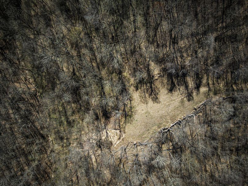 dji_fly_20230410_131630_625_1681147002183_photo 2