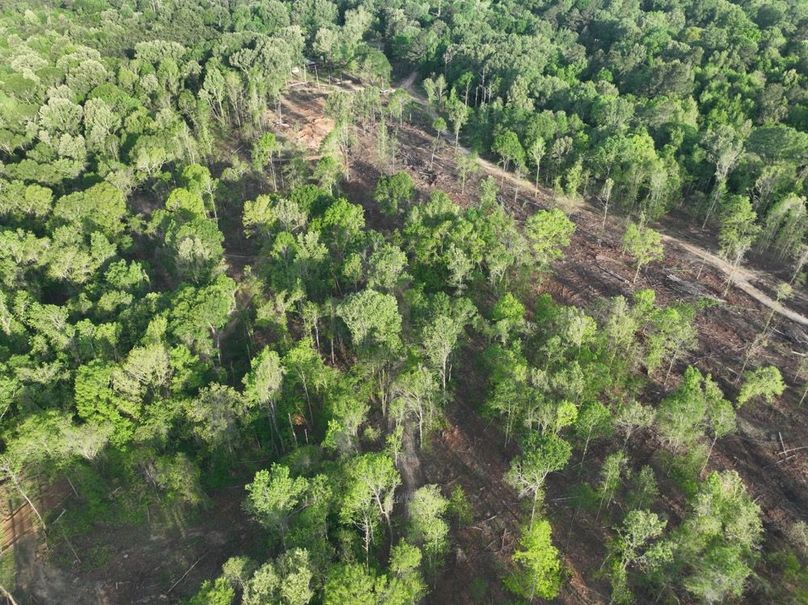 dji_fly_20260407_083710_371_1775580278755_photo