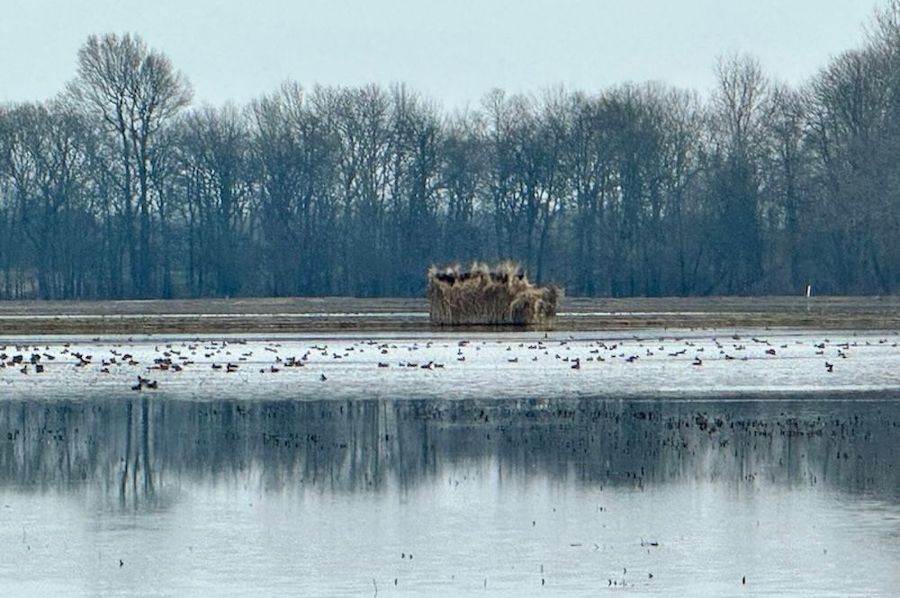 Sled Blind