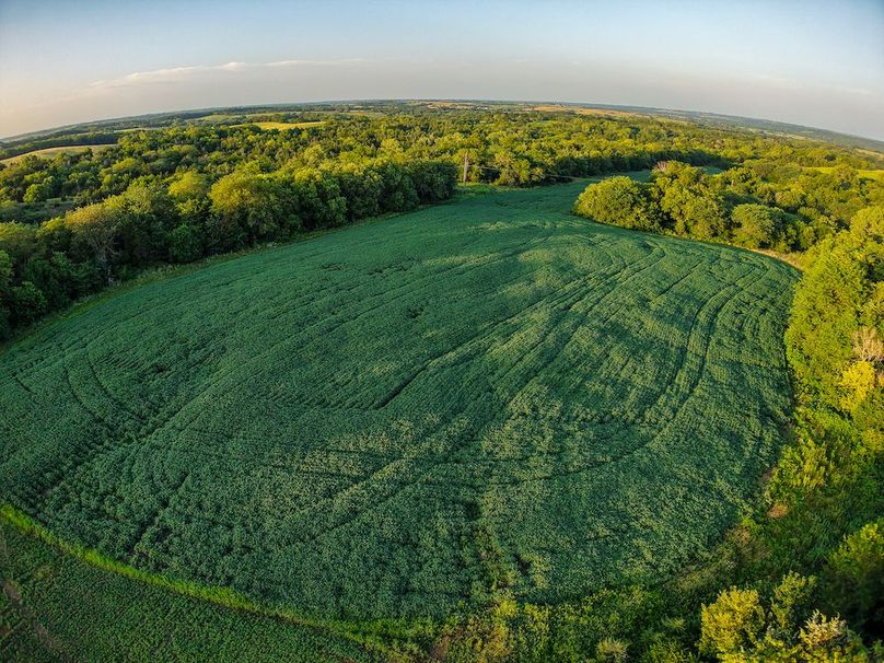 DJI_20250723195430_0386_D