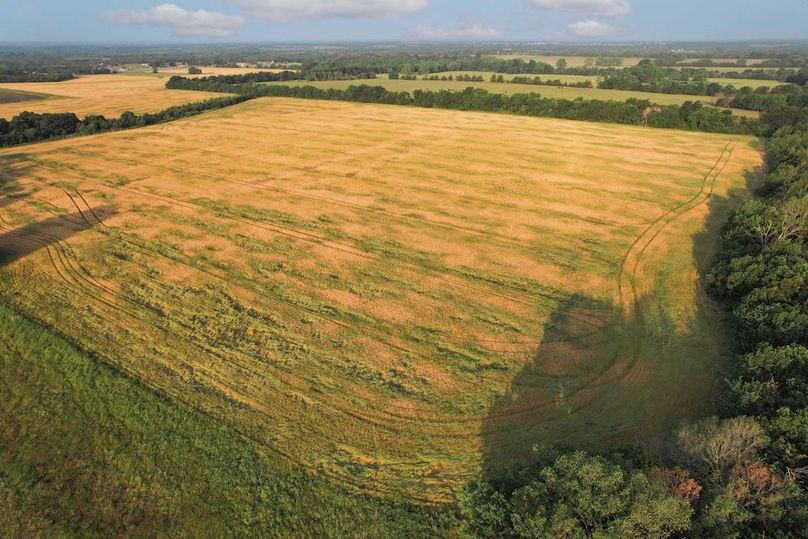 Lamar County- 92.66 Acres (11 of 29)