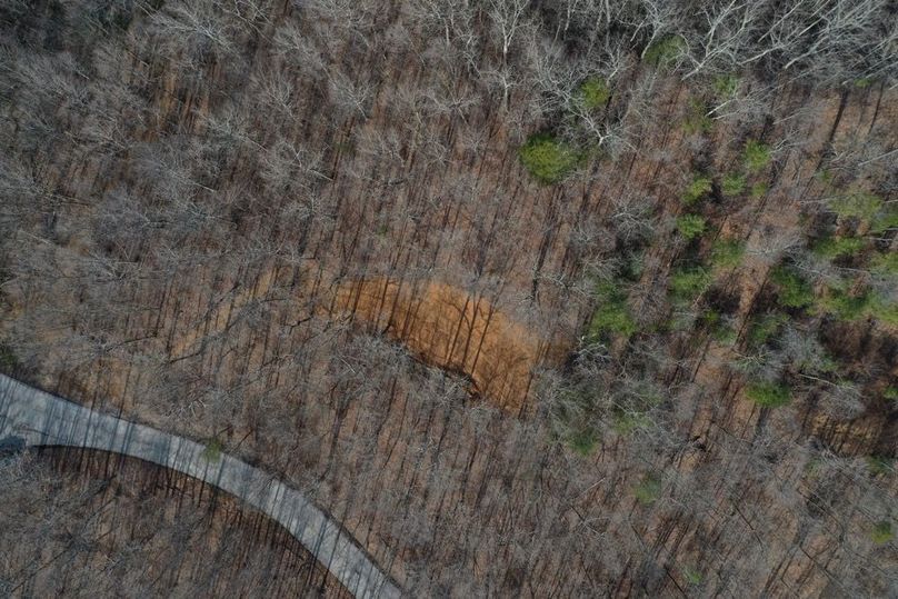 007 aerial drone view of a nearly directly overhead shot of the property and placement of the cabin cleared area