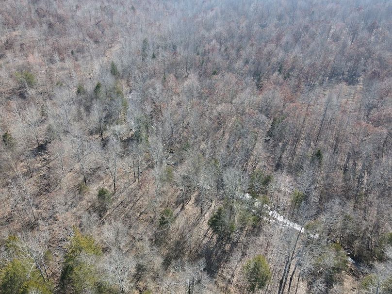 dji_fly_20250213_142208_4_1739478140910_photo