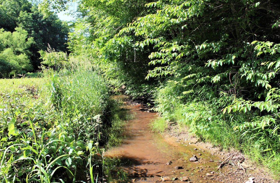 003 the creek along the back boundary on the west side